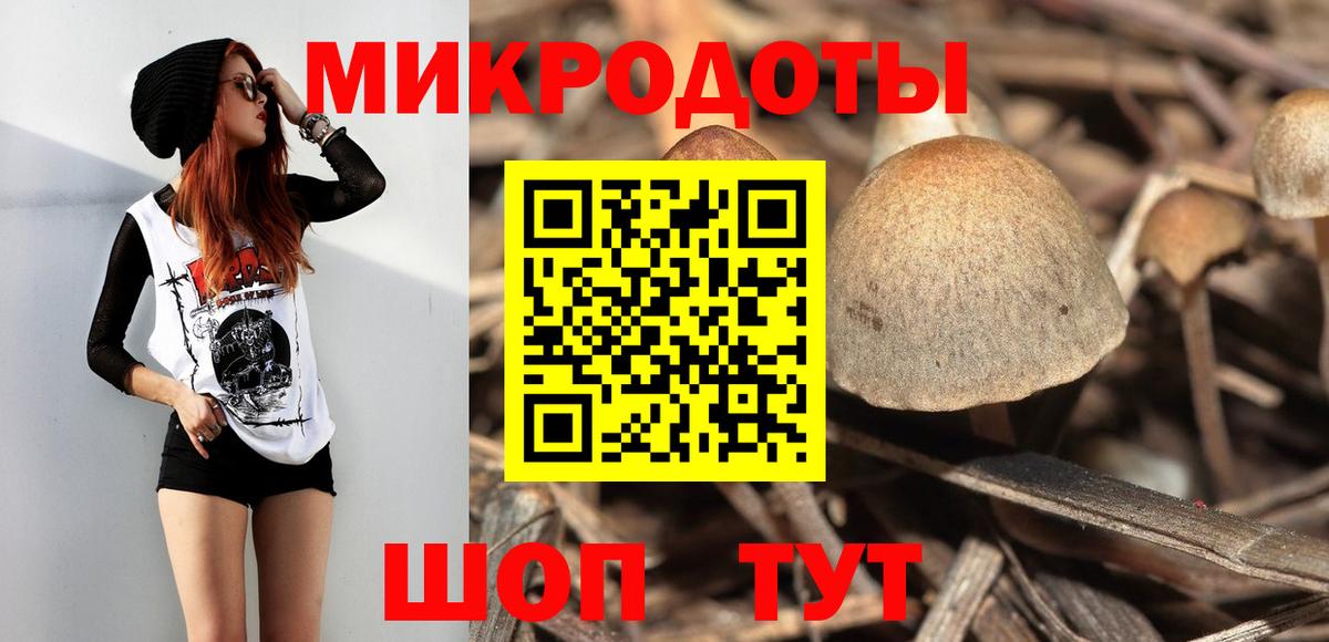 Галлюциногенные грибы Cubensis Саяногорск